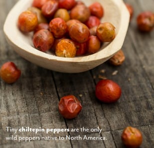 chiltepin peppers - food trends 2022